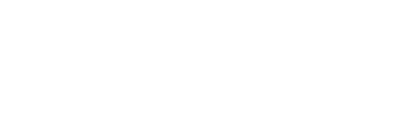 Nuoli ry - Nuoriso- ja liikunta-alan asiantuntijatry